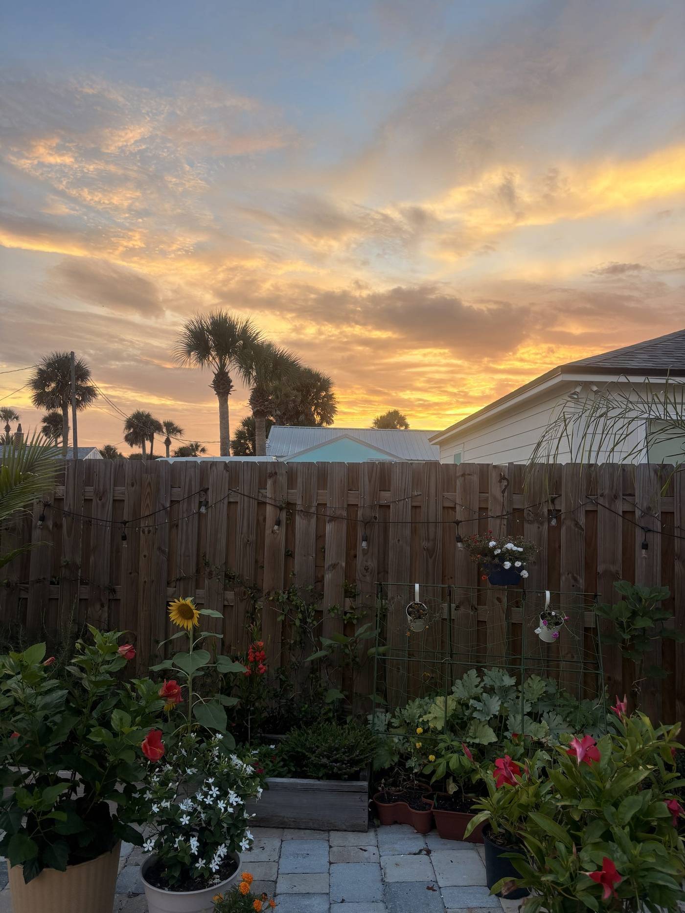 Sunset over palms and a backyard garden in St. Augustine Beach, Florida